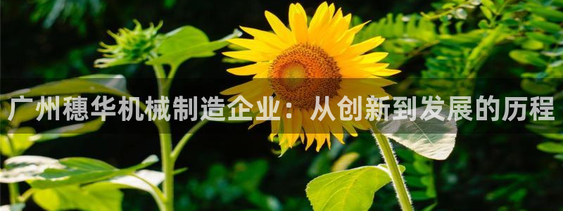 中国鸿运是什么平台