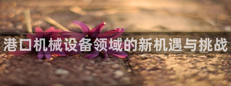 鸿运通平台客服