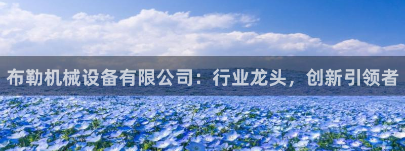 鸿运彩票平台的网址