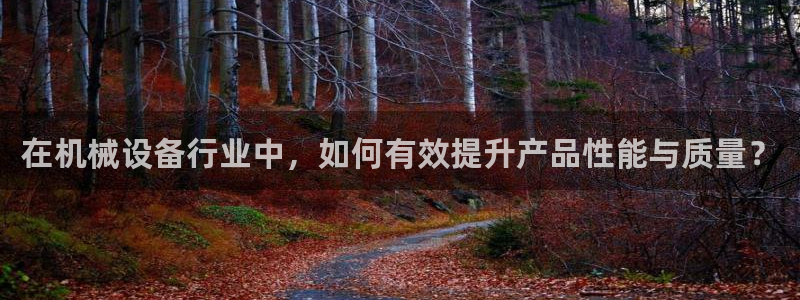 大发平台鸿运彩票