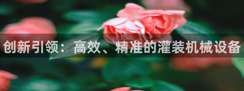 鸿运平台推荐产品