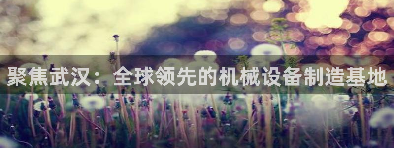 鸿运直播类似直播平台