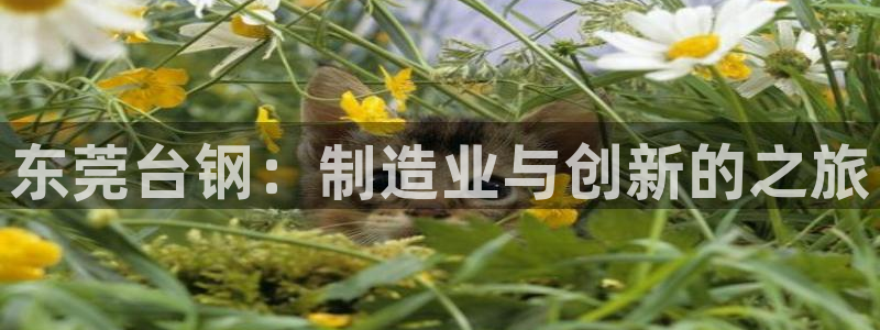 鸿运贷款平台正规吗