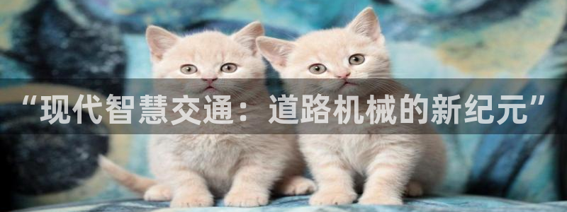 香港琥珀鸿运平台邀请码