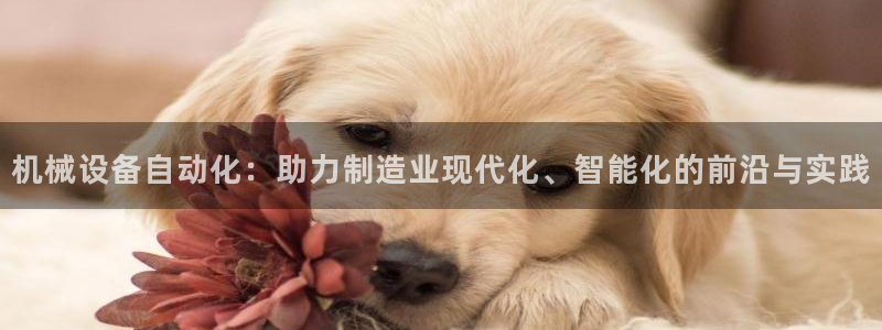 鸿运彩票平台违法吗