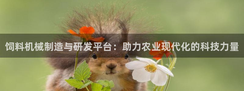 鸿运彩票专业购采平台