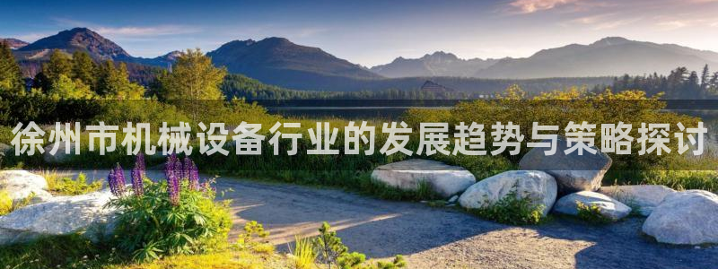 鸿运国际是什么游戏平台