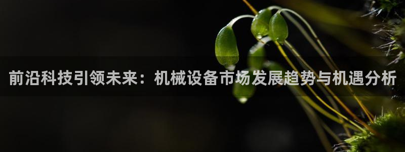 鸿运彩票平台登录不了