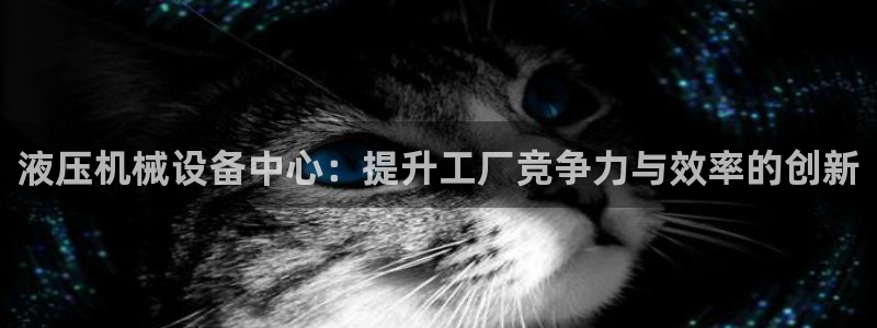 鸿运现场平台开户