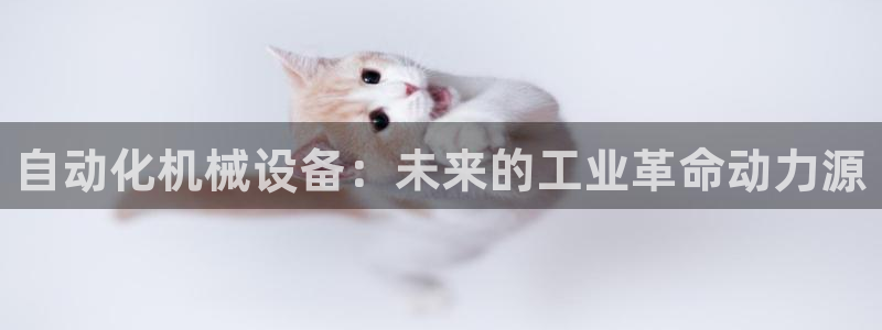 琥珀鸿运平台怎么提现