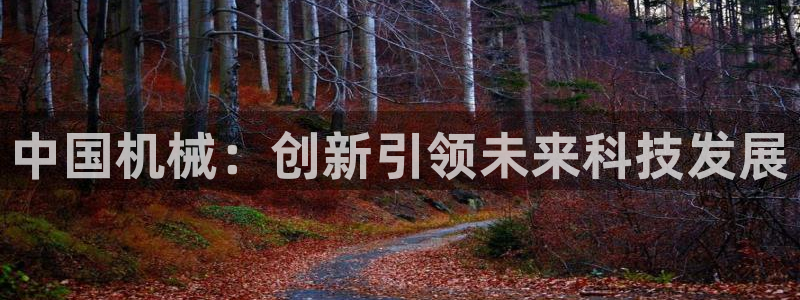 鸿运当头平台画