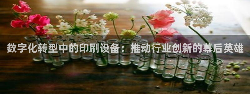 鸿运体育在线平台