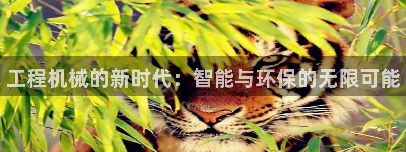 鸿运平台是骗局吗