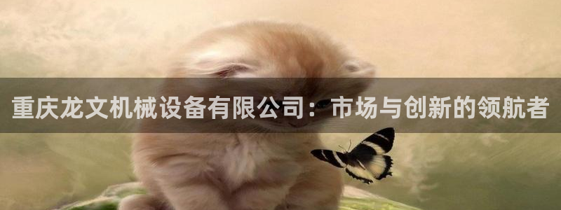 香港鸿运投资平台