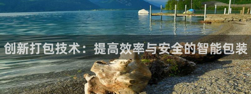 谢鸿运平台