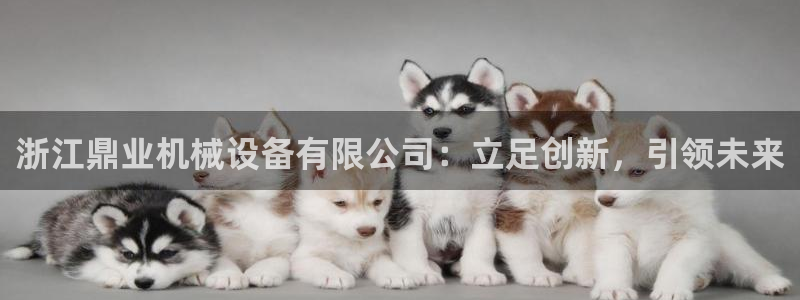 鸿运误乐平台