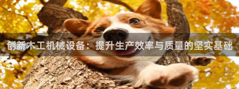 鸿运商城珠宝平台