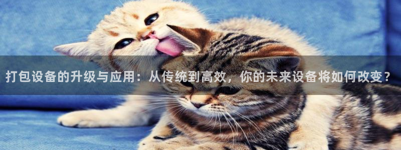 琥珀鸿运诈骗平台