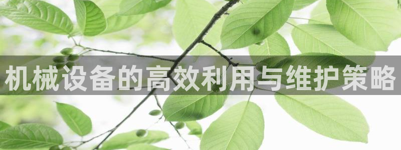 鸿运国际平台网址