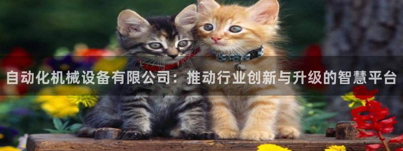 鸿运信任平台